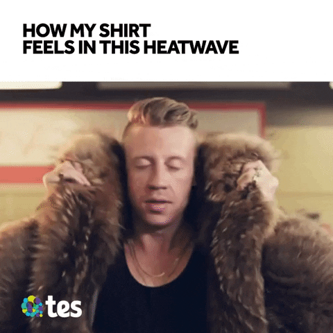 School Education GIF by Tes World : Teachers