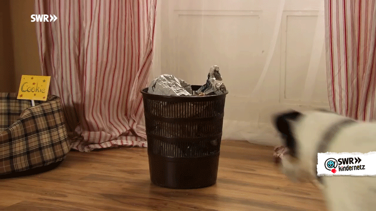 Dog Don'T Pollute GIF by SWR Kindernetz