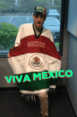 Viva Mexico GIF by Channel933