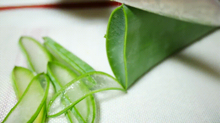 aloe cutting gif