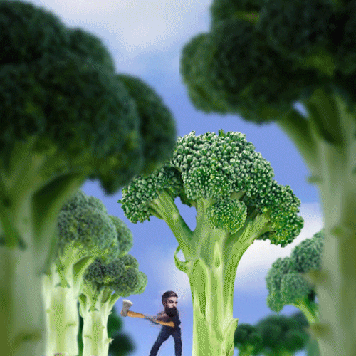 Chopping Broccoli GIFs Get the best GIF on GIPHY