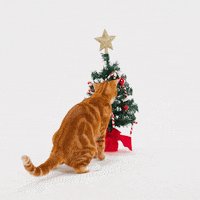 Christmas Tree Cat GIF by Petsure UK