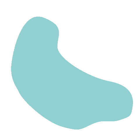 bikesandwheels Sticker