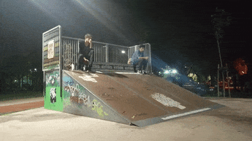 tafa #glovs #skateboarding GIF