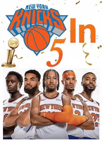 Nba Finals Knicks GIF