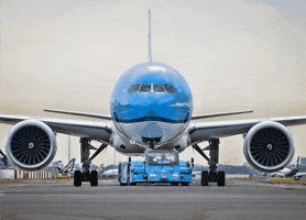 Royal Dutch Airlines Travel GIF by KLM