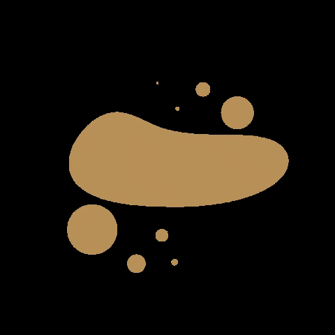 Bagmetissta GIF