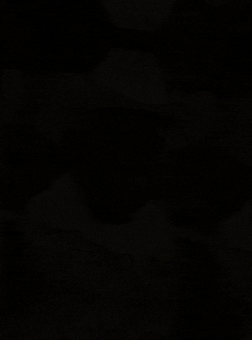 Cowboy Son GIF