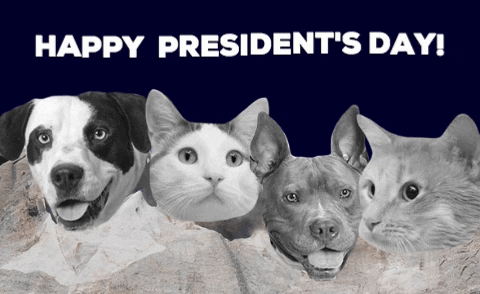 Gif By Nebraska Humane Society Find Share On Giphy Free presidents day clipart, gifs, animations, graphics. gif by nebraska humane society find
