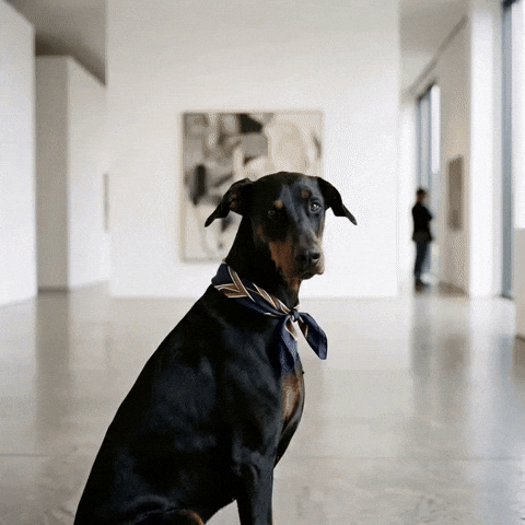Sarcastic Fashion GIF by Woofzara