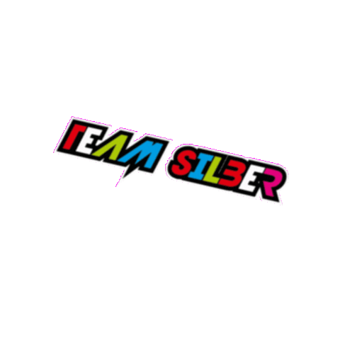 Teamsilber Sticker by HMKO