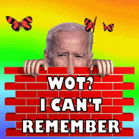 Cant Remember Joe Biden GIF