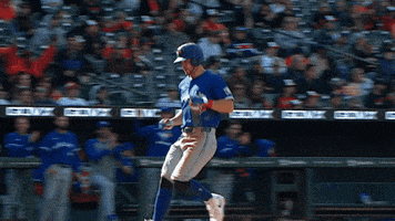 Blue Jays Baseball GIF by Toronto Blue Jays
