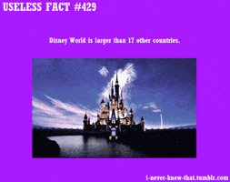 disney world facts GIF