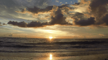 Beach Sunset GIF