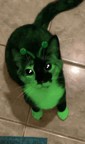 Animated GIF
