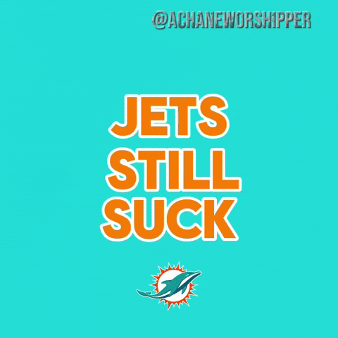 Dolphins GIF