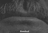 Rosebud Citizen Kane Gif Rosebud Citizen Kane Gif