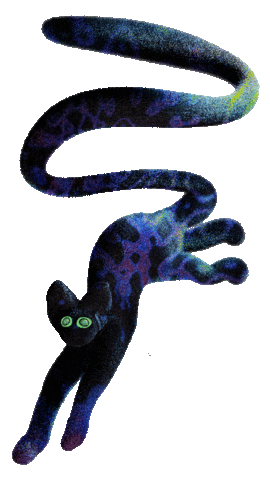Black Cat Sticker by franzimpler