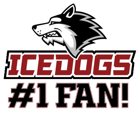 Bozeman Montana Hockey Sticker by BozemanIcedogs