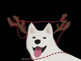 Barkieph GIF