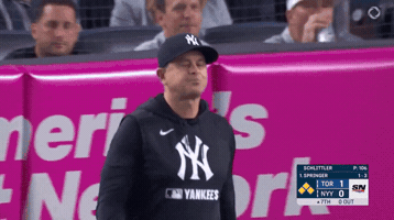 Yankees GIF