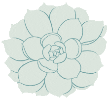 Flower Plant Sticker