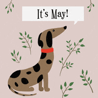 First Of May GIF by Babybluecat
