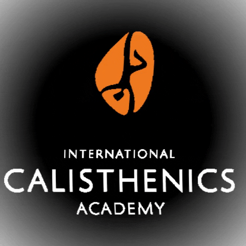 calisthenics-academy calisthenics calisthenicsacademy calisthenics academy internationalcalisthenics GIF