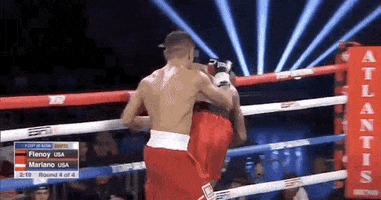toprank fight boxing fighting fighters GIF