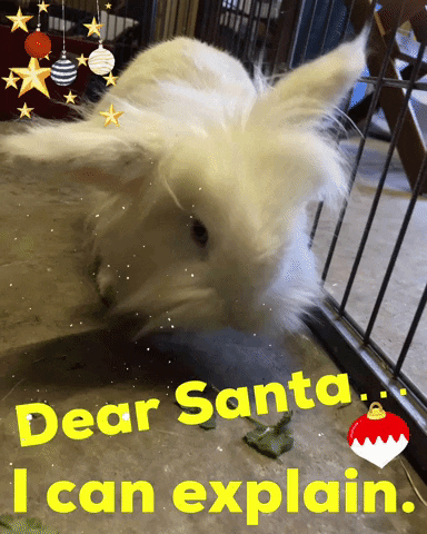 Dear Santa GIF