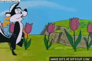 Pepe Le Pew GIF by memecandy - Find & Share on GIPHY