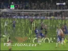 naderibrahim  GIF