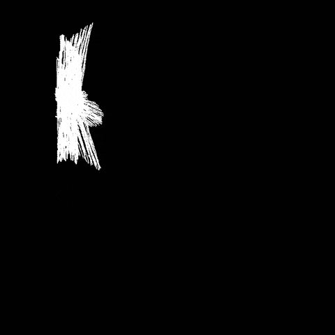 Border Patrol Ice GIF