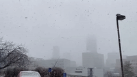 Des Moines Blanketed in Large Snowflakes
