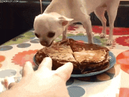 source: imgur.com
