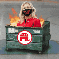 Fire Election GIF