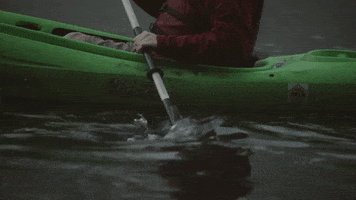 Row Your Boat GIF by Switzerfilm