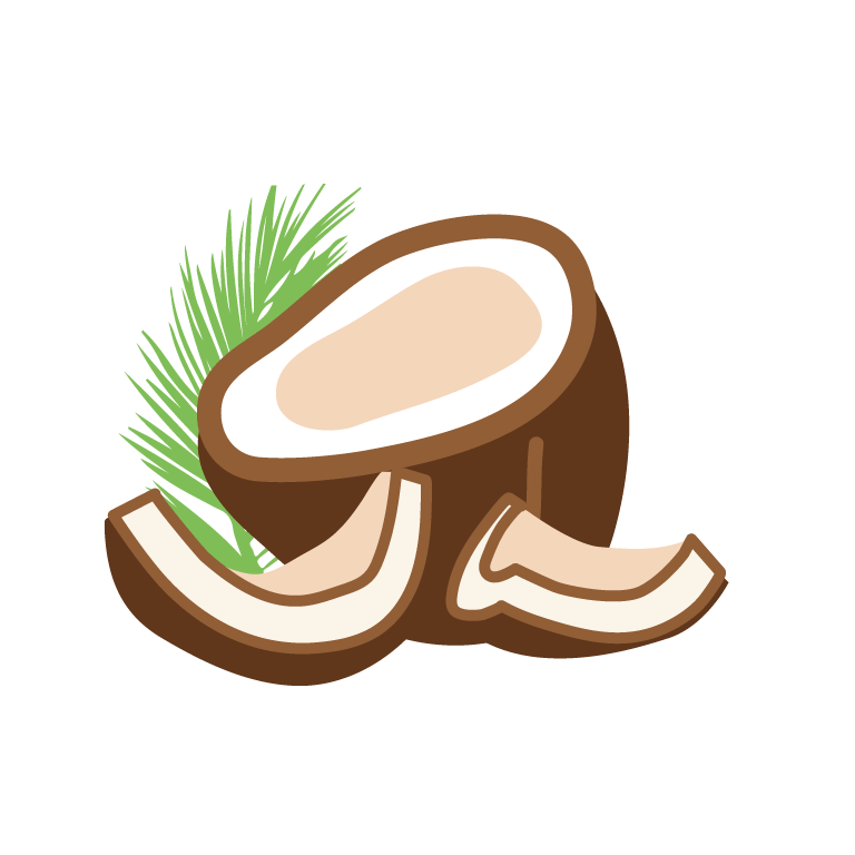 Coconut Sticker by Vita Coco for iOS & Android GIPHY