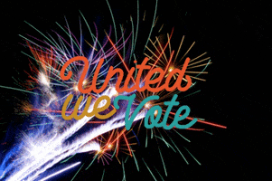 Happy 4Th Trump Youre Fired GIF