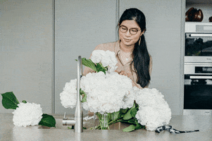 Hydrangea Cut Flowers GIF by Flower Addict