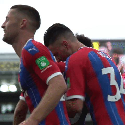 Crystal Palace Sport GIF by CPFC