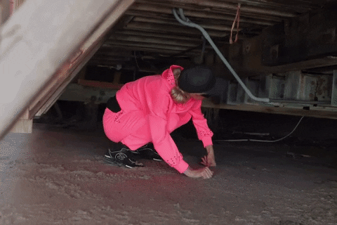 giphy.gif?cid=5e214886e437d087b8fa62b226