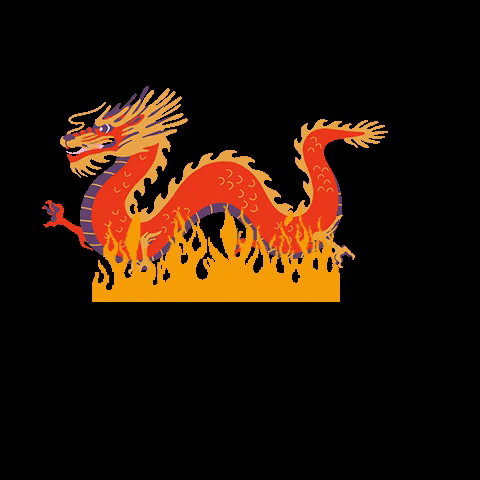 Rhank fire dragon burning chinesse GIF