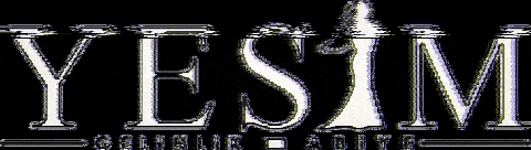 Yesimgelinlikmodaevi GIF