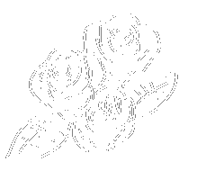 Roses Sticker