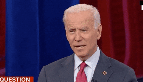 biden meaning, definitions, synonyms