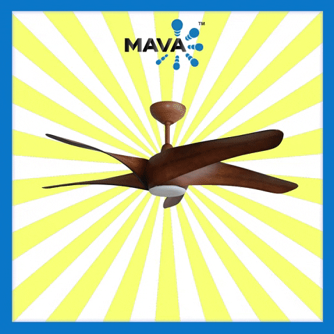 Mava Fan GIF