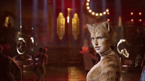 Resultado de imagem para cats gif movie"