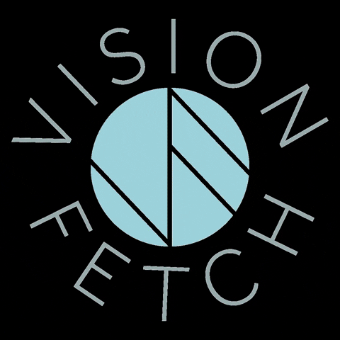 VisionFetch  GIF